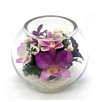 розово-фиолетовые орхидеи BSO